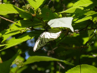 P5300051